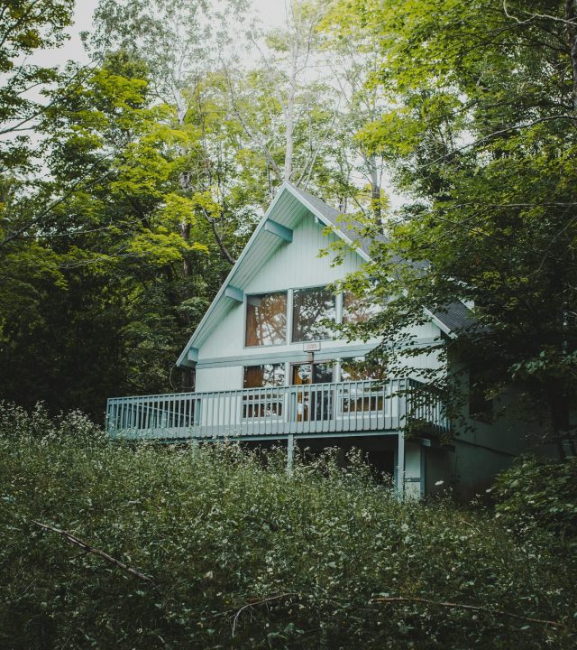 josh-hild-0_N6VO_DAN4-unsplash josh-hild-0_N6VO_DAN4-unsplash
